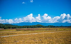 零零零国度采集到素材（杂）
