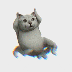 表情 | 奇怪的知识增加了——Mur猫 3D动态表情包_视频-花瓣网