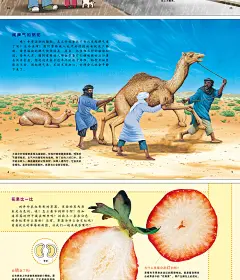 小牛顿科学馆绘本全集60册第一辑 儿童科普百科全书 3-6-12岁少儿图书植物动物昆虫记幼儿版十万个为什么大全 小学生课外阅读书籍-tmall.com天猫