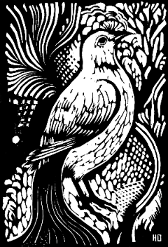 温玟采集到版画