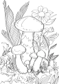蘑菇插画线稿