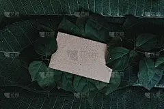 创意的布局，用鲜花和树叶与纸卡片便条。平的。自然概念