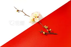 Plum blossoms with red and white background