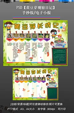 植物生长黄豆芽观察日记小报手抄电子小报#科技手抄报##电子小报#