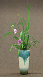 花卉