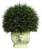 Potted Grass With White Vase, Indoor and Outdoor traditional-artificial-flowers-plants-and-trees