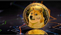 Doge