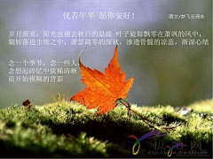清白小生°采集到疏