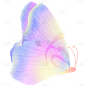 手绘渐变蝴蝶7