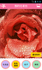 好鲜艳的玫瑰；大胆的设计，放在个人主页，赞一个；来自应用“优肌社美妆” #UI# #APP#