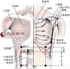 cici_free采集到穴位