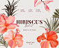 Hibiscus resort floral watercolor print and pattern : Tropical exotic hibiscus flowers, stelitzia, palm leaves and paradise branches elements, arrangements, pattern wallpaper and fabrics. Summer wild herbs illustration