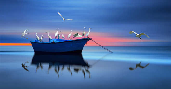 EGRETS BOAT by Nasse...