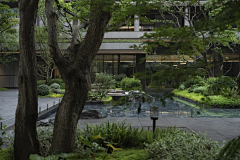 木槿yy采集到临高样板区