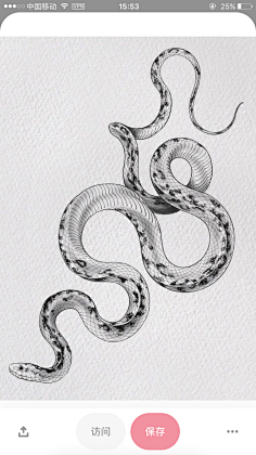画蛇