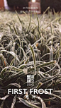 汤臣一品的坚持，是我们继续走下去的理由！