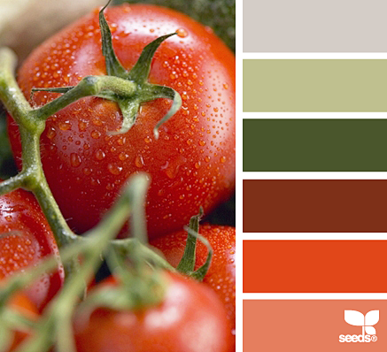 Design Seeds® | find...