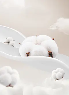 棉