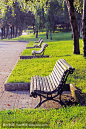 长凳在公园
benches on a park