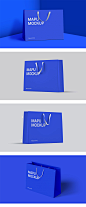 一组精致时尚品牌卡纸手提袋购物袋图案设计展示样机PSD设计素材-淘宝网