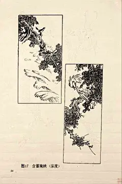   花鸟画步骤图集 - 侯海凤 - 新疆之窗