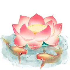 中国风锦鲤金榜提名高考祈福睡莲莲蓬荷花夏季花卉插画