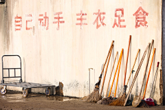 aDxI7KmE采集到少年之家