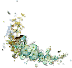 -awei采集到花