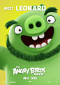 2016芬兰/美国《愤怒的小The Angry Birds Movie》角色海报 #03