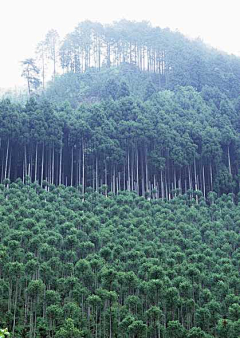 红曲采集到山水