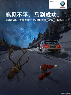 思乐-采集到圣诞