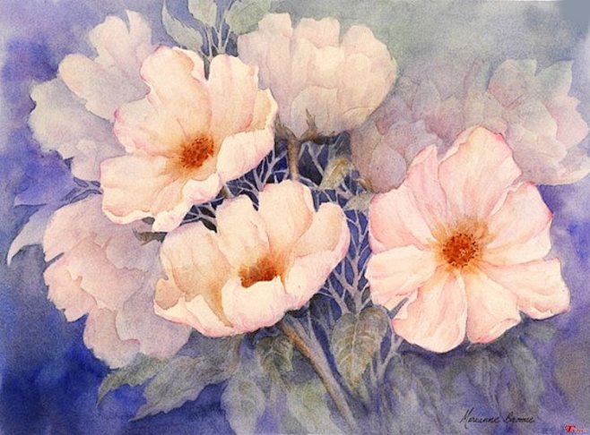 Marianne Broome 水彩画 