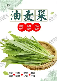 油麦菜海报 【酷图网】油麦,新鲜油麦,绿色油麦,美味蔬菜,营养蔬菜,绿色蔬菜,油麦海报,油麦广告,油麦高炮,油麦装饰画,开洋娃娃菜,菜籽,儿儿菜,干锅,油麦挂画,油麦宣传,油麦画册,油麦灯箱,油麦杂志,油麦折页,油麦包装,油麦彩页,菜谱内页,菜牌,水果宣传,蔬菜展板,蔬菜超市,蔬菜市场,蔬菜广告,蔬菜,海鲜,超市,