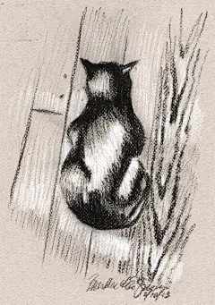 猫之插画图集丨绘画动画素描水彩手绘临摹案例
