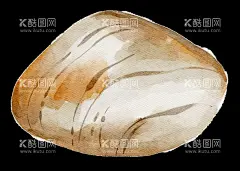 海洋元素  - 源文件下载【酷图网】海洋元素,海洋,贝壳,水彩,插画,元素,底纹,图案,PNG,免扣,素材元素,设计,素材