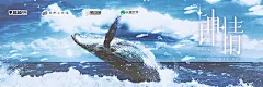海报-11横2