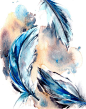 Feathers Watercolor Print Watercolor Painting by CanotStopPrints