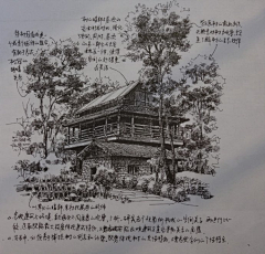 游动的绿萝采集到夏克梁