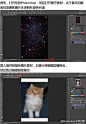 #PS技巧方法# 给大家分享一个#photoshop#使用星空素材和图层混合模式设计制作一个浪漫的星空猫咪效果！本教程没什么技术难度，和抠图差不多，但完成效果却很亮眼！喜欢的同学不妨自己动手试试看，参考学习，转给需要的小伙伴们吧！作者：清明街上洛书来