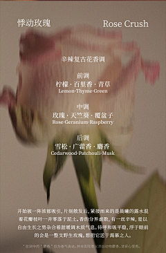 ~蓮说~采集到长图