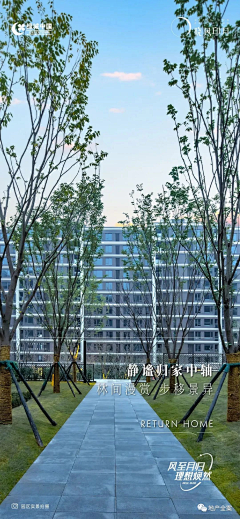 一起摸鱼去采集到系列稿