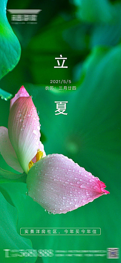 谭雀采集到更新【源文件design006.com】