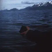 一克树