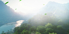 玛格丽特奥格采集到背景