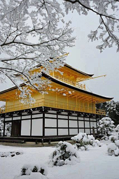 飛兲羽采集到田园风