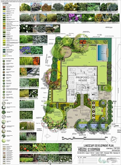 Tan小卷采集到A-植物分析图