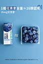 源究所蓝莓汁花青素浓缩复合纯果蔬汁混合果汁饮料12瓶整箱