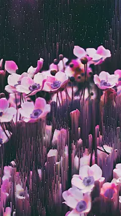 目录｜平面设计
主题｜流动花影
内容｜创意花朵手机壁纸
颜色｜紫色系
艺术家｜Jessica Andersdotter
平面设计设计全球#设计美学# ​​​ ​​​​