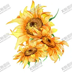 卡通向日葵插画 【酷图网】向日葵,卡通向日葵,向日葵素材,手绘插画花卉,向日葵插画,手绘向日葵,psd分层素材,太阳花,设计,PSD分层素材