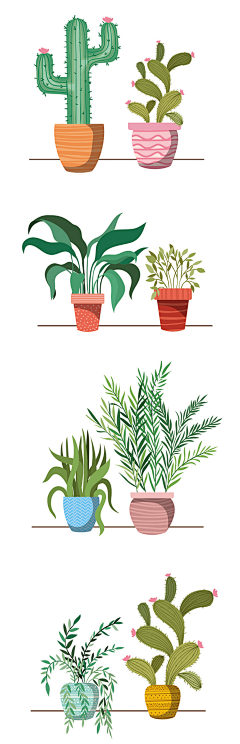 左右逢圆采集到植物